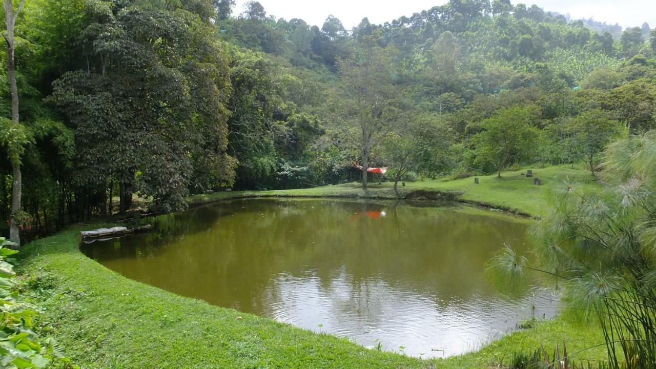 Sonarte Reserva Natural Cordoba  Zewnętrze zdjęcie