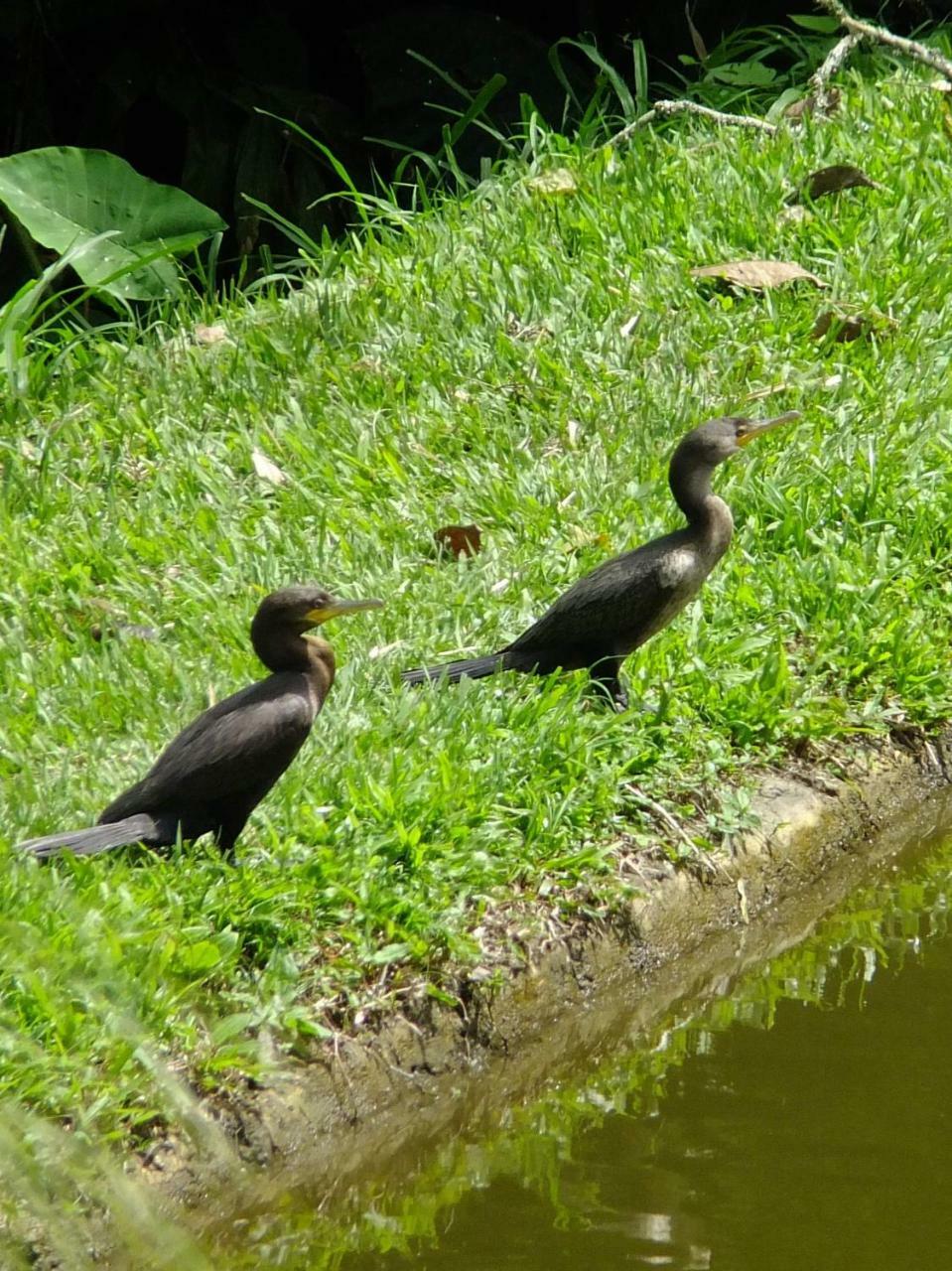 Sonarte Reserva Natural Cordoba  Zewnętrze zdjęcie