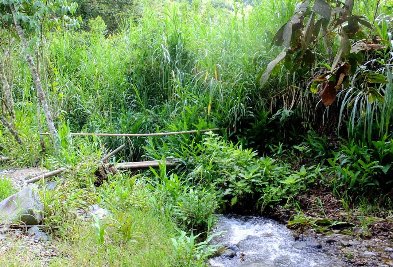 Sonarte Reserva Natural Cordoba  Zewnętrze zdjęcie