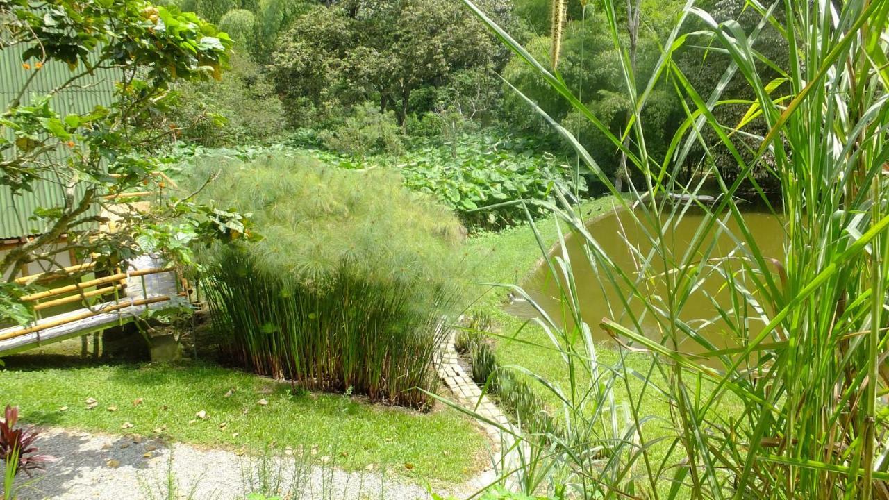 Sonarte Reserva Natural Cordoba  Zewnętrze zdjęcie